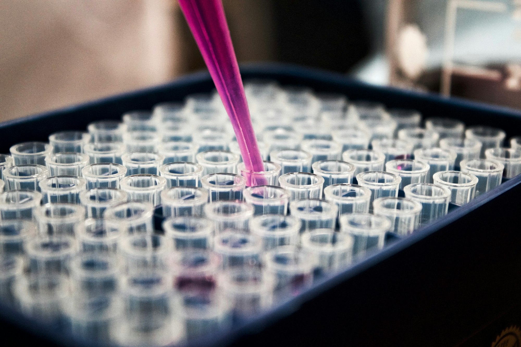 High-throughput assay plate
